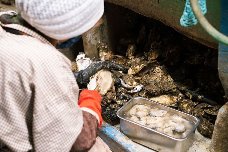 能登かきグルメフェス in 七尾駅前